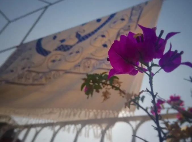 La Tana Tra I Tetti 3* Genua